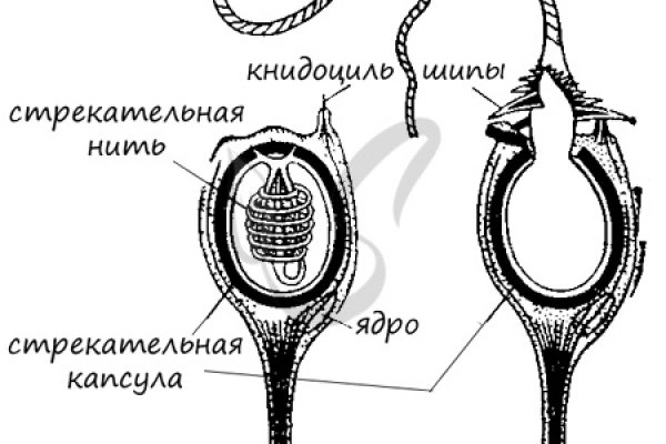 Кракеном называют